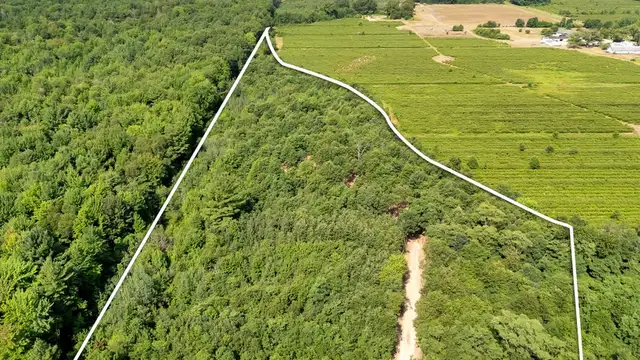 View image 1