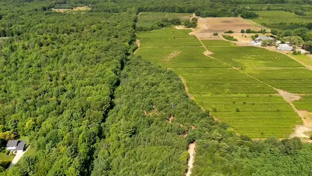View image 18