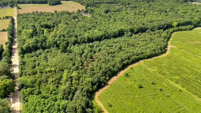 View image 15
