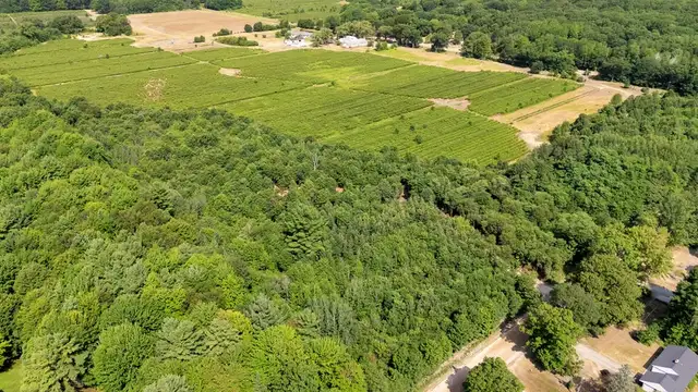 View image 8