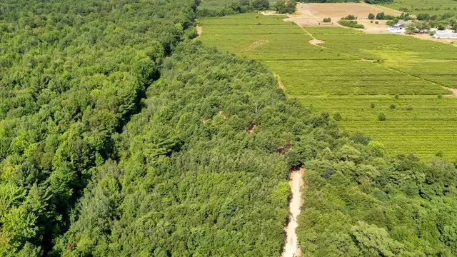 View image 7