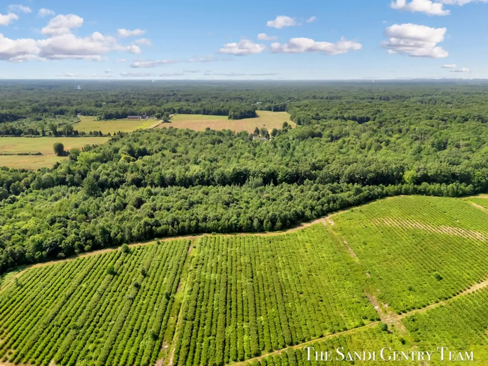 Johnson Rd image 14