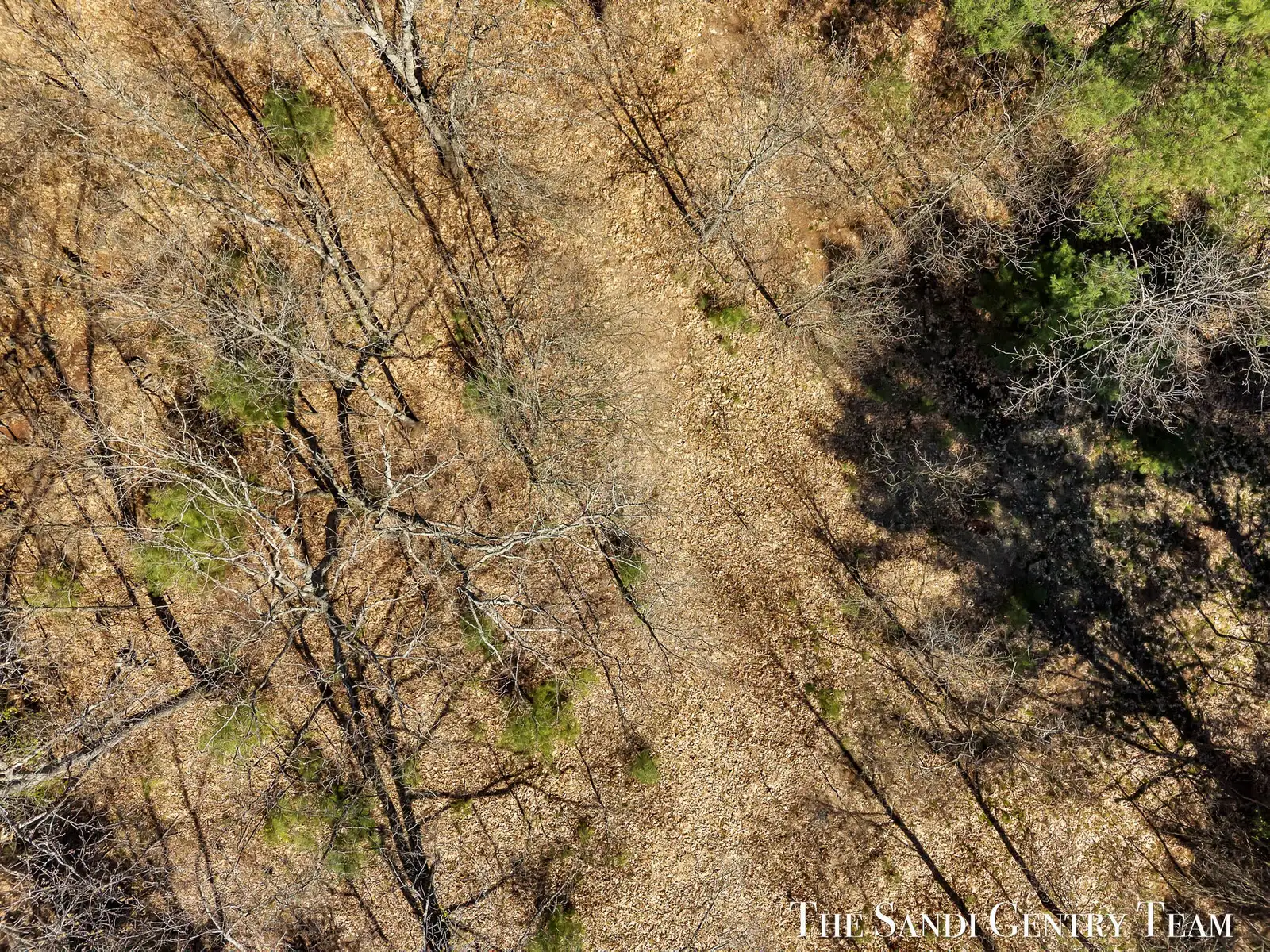 V/L Whitehall Rd image 11
