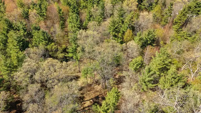 View image 9