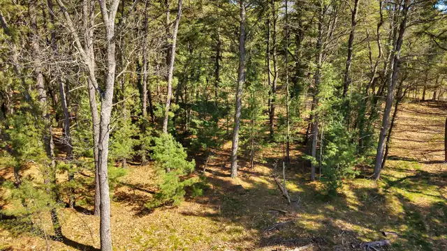 View image 4