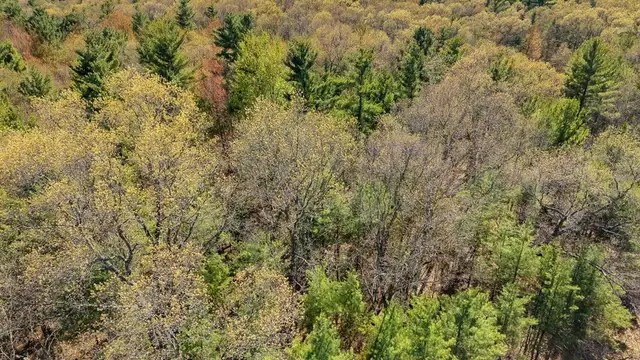 View image 6