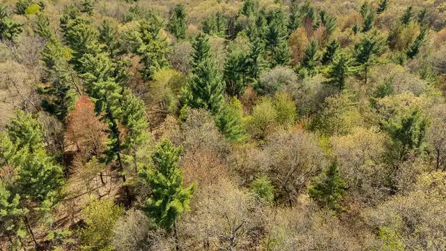 View image 8