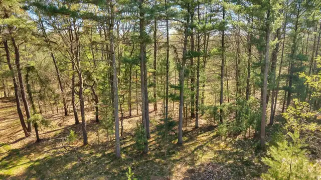 View image 2