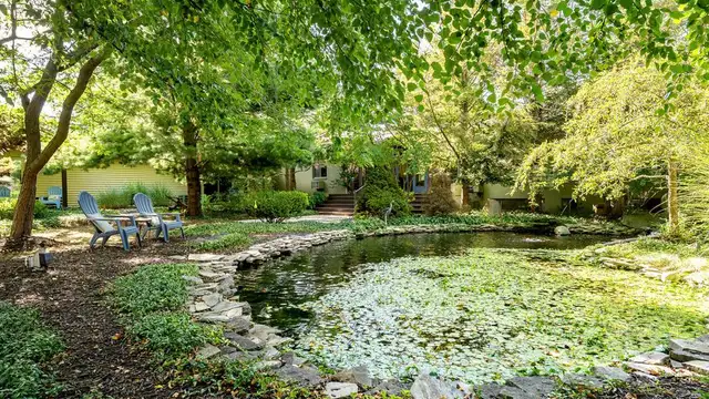 View image 31
