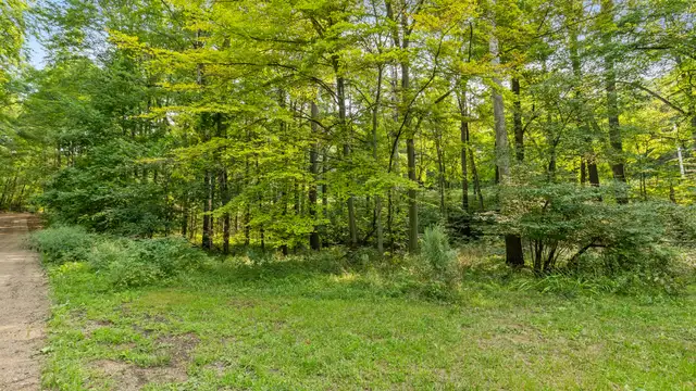 View image 49