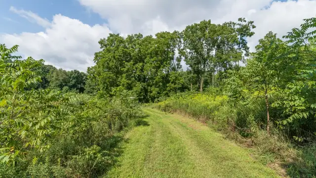 View image 9
