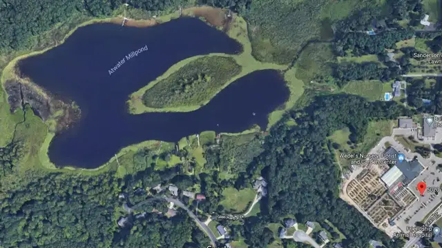 View image 4