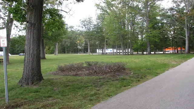 View image 11