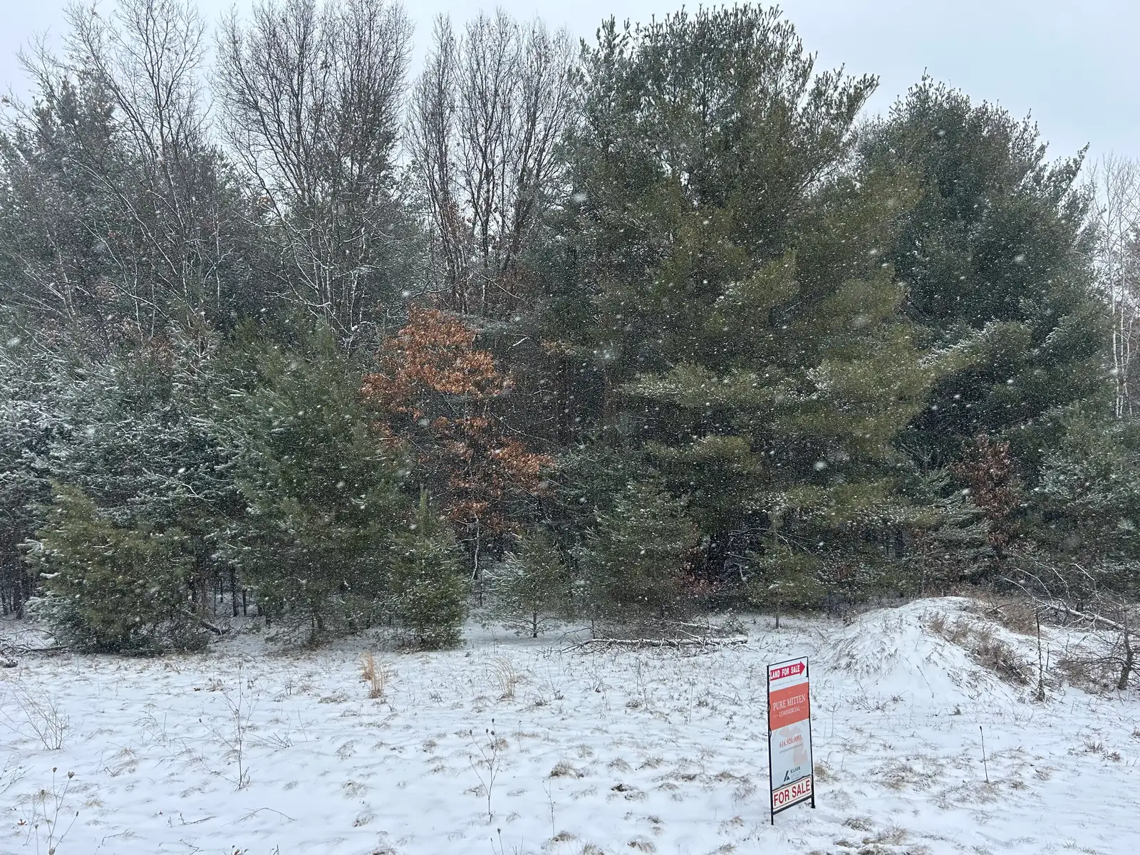 9530 Federal Rd image 3