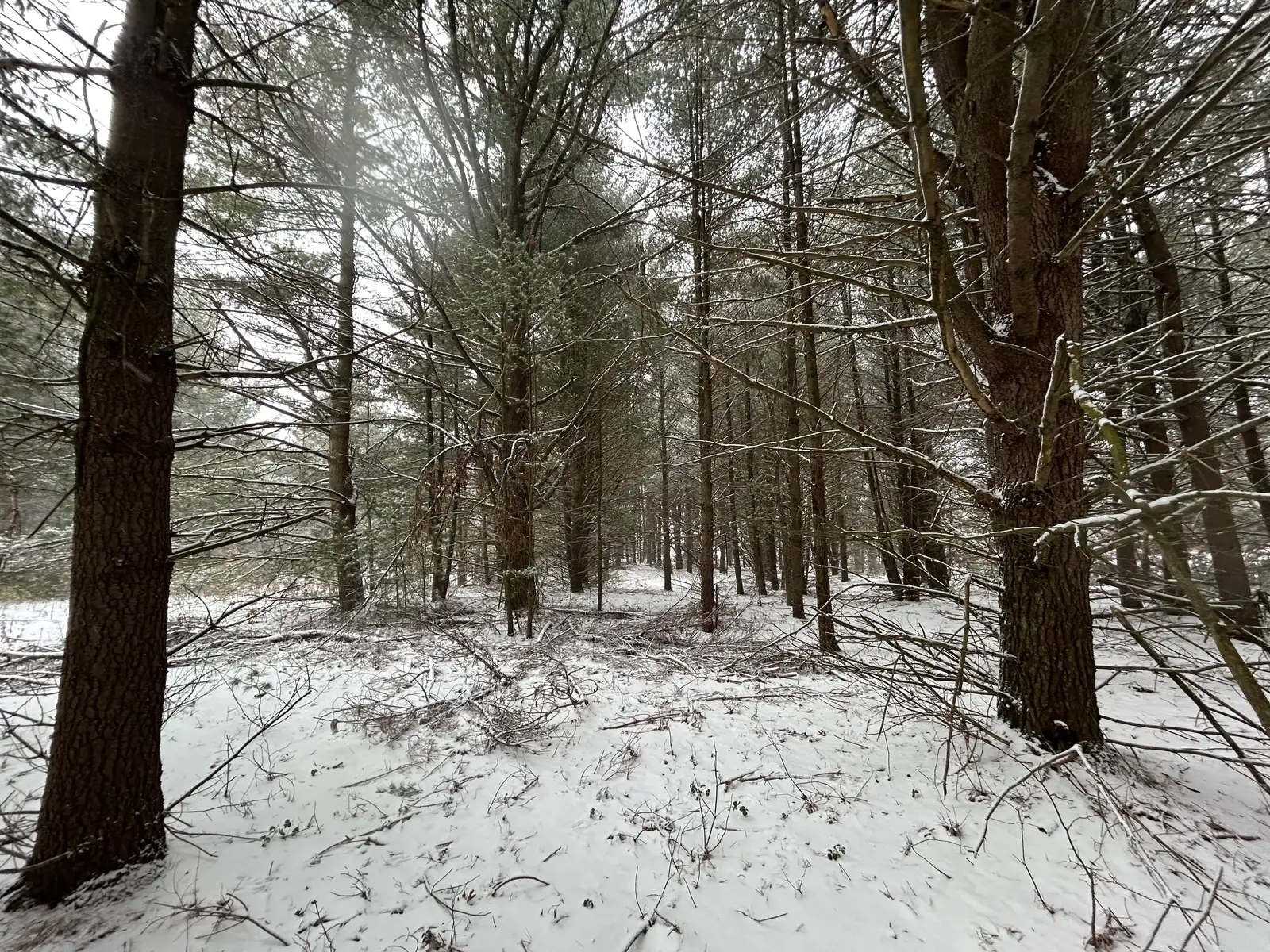 9530 Federal Rd image 7
