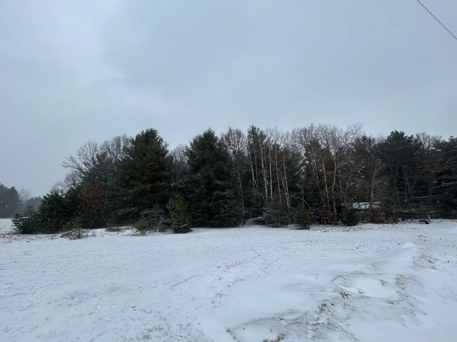 9530 Federal Rd image 2
