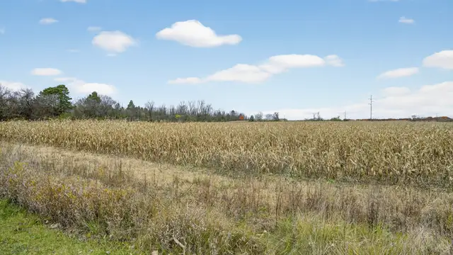 View image 17