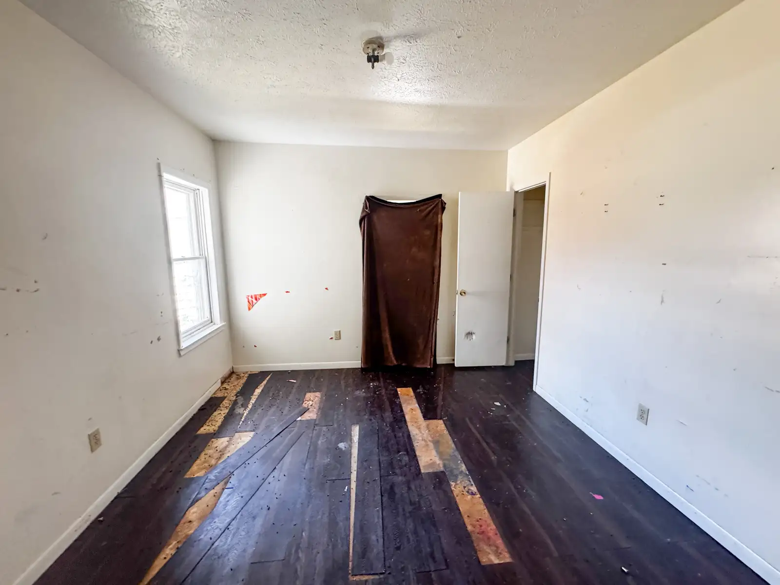 1902 Nebraska Ave image 13
