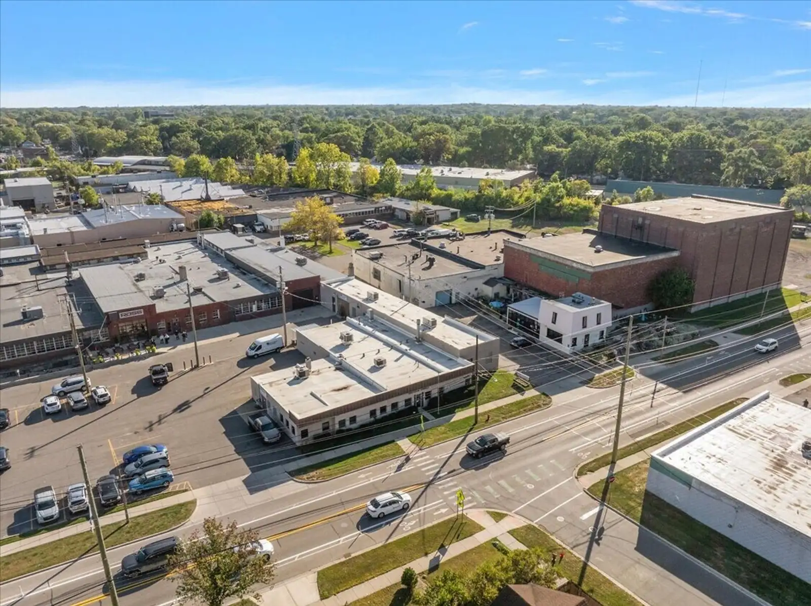 836 Woodward Heights image 1