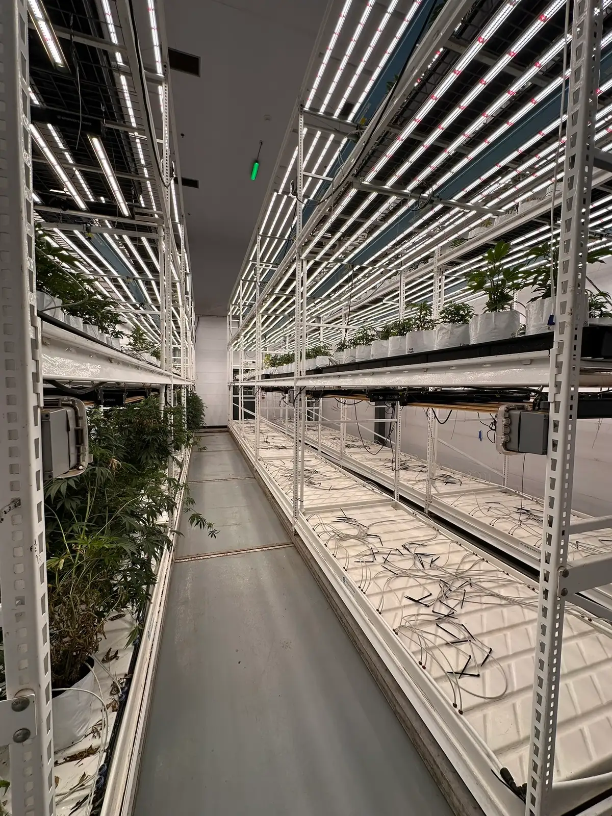 Burton - Former Operating/Turnkey Cultivation and Processing Facility image 7