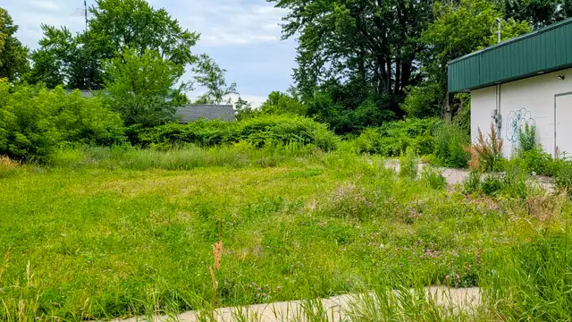View image 12
