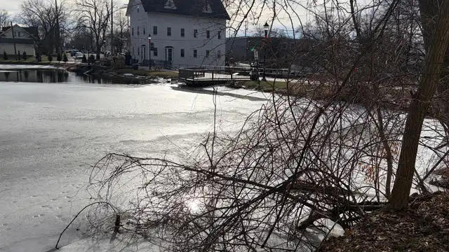 View image 11