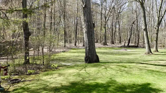 View image 61