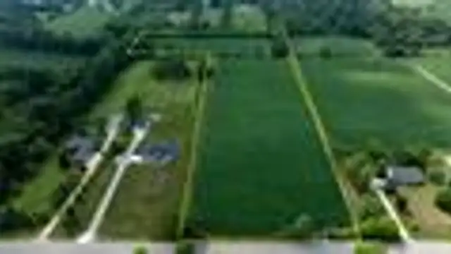 View image 10