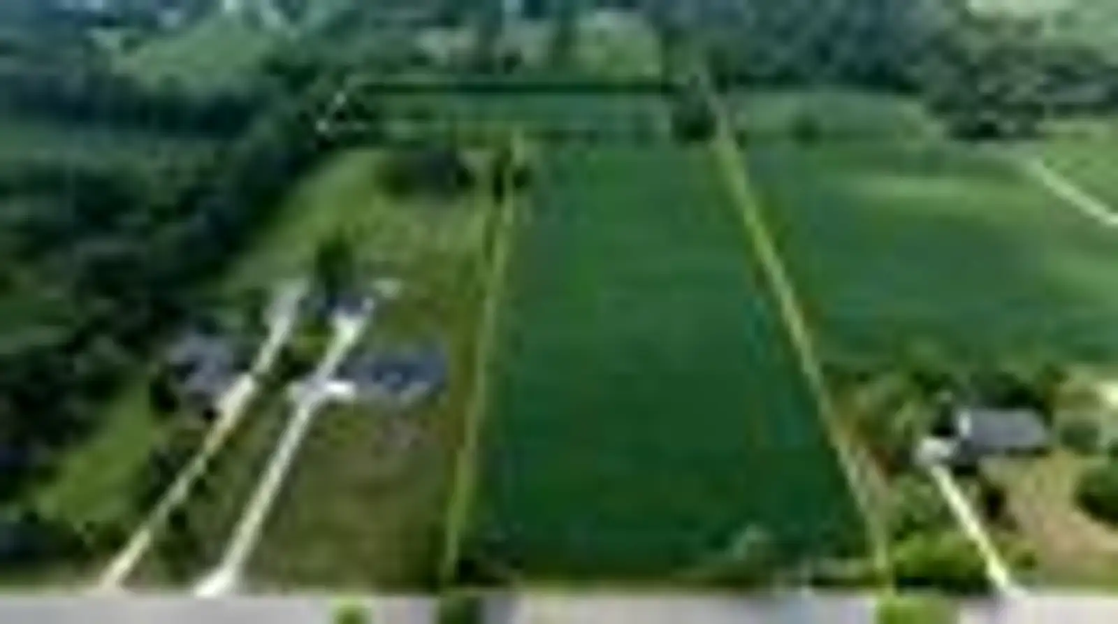 0  Capac Rd image 10