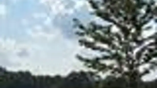 0  Capac Rd thumbnail 2