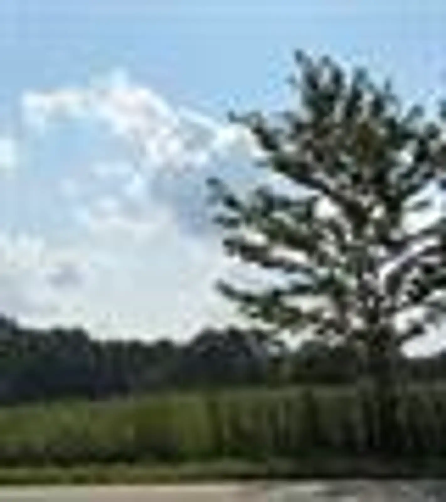0  Capac Rd image 2