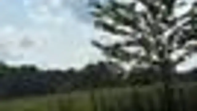 View image 6