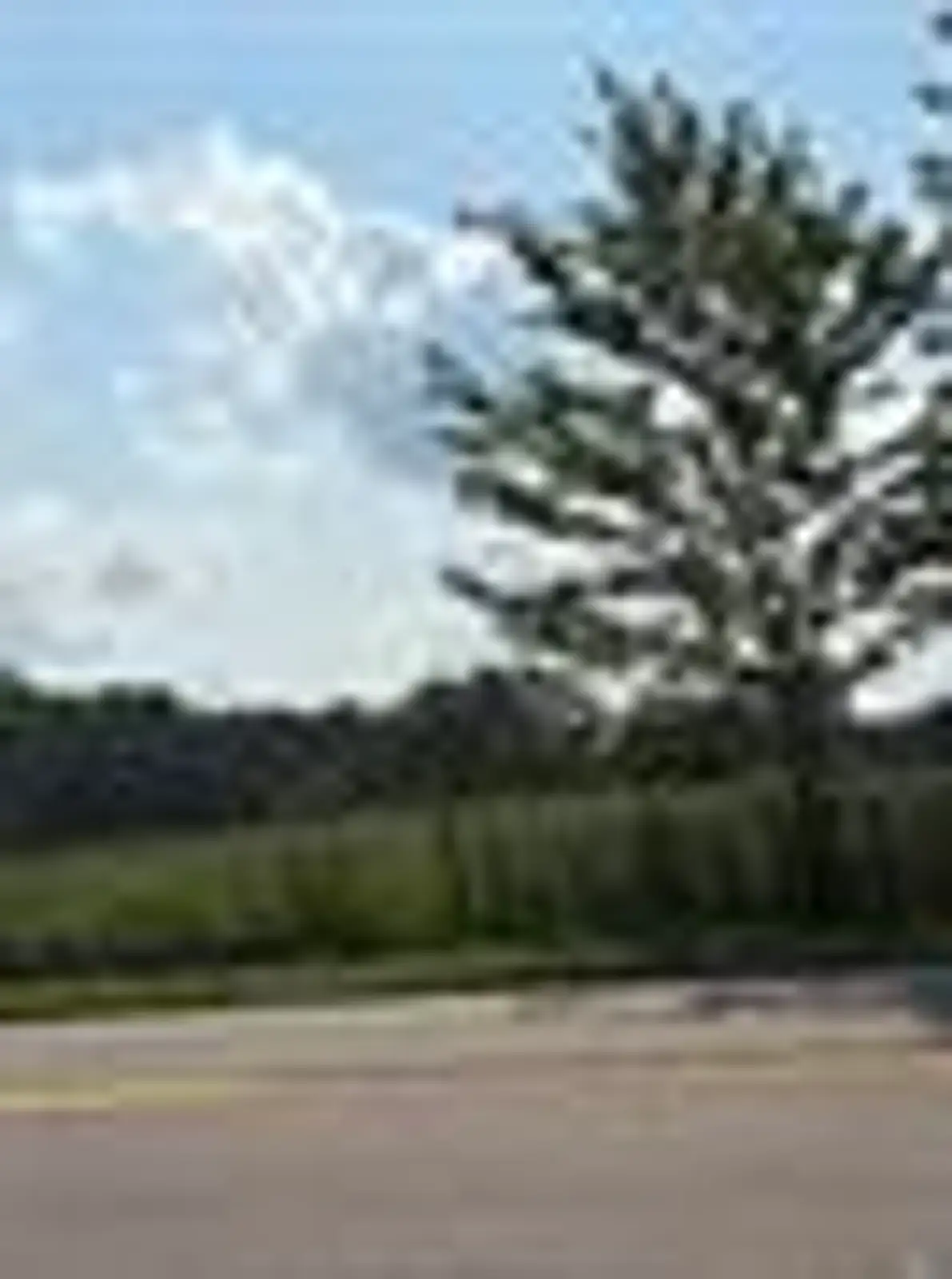0  Capac Rd image 6