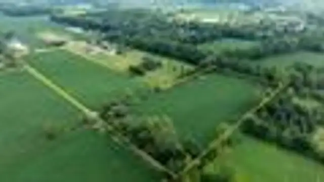 View image 9