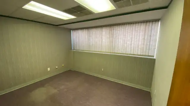 Suite 2 - 303 S Waverly Rd thumbnail 4