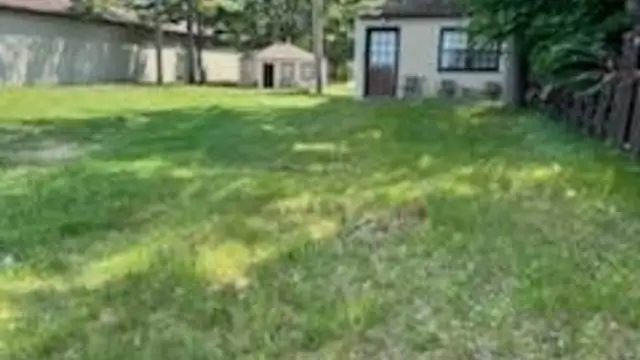 View image 7