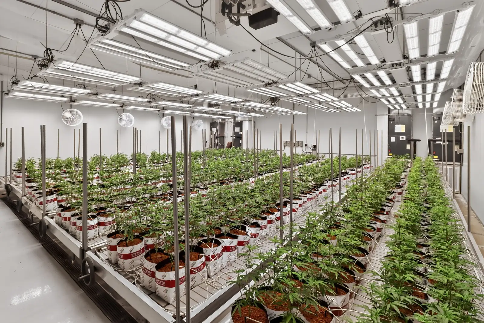 Jackson - Operating Indoor/Greenhouse Cultivation Facility image 13