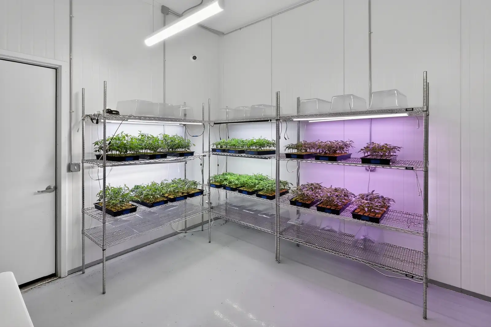Jackson - Operating Indoor/Greenhouse Cultivation Facility image 10