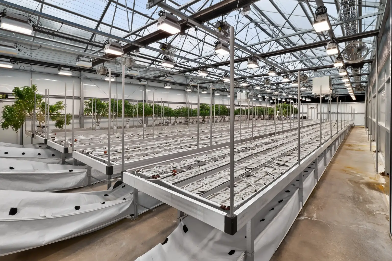 Jackson - Operating Indoor/Greenhouse Cultivation Facility image 11