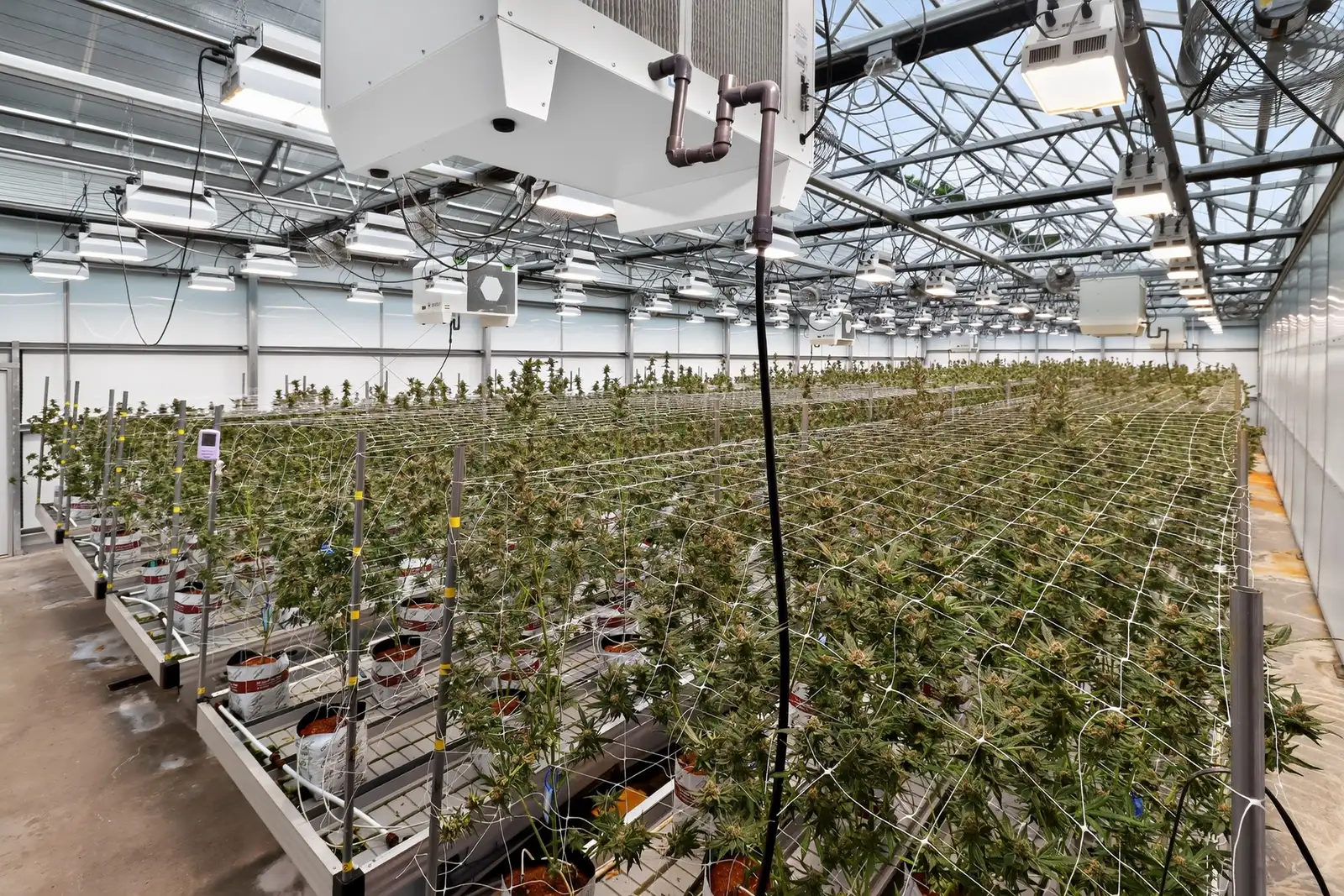 Jackson - Operating Indoor/Greenhouse Cultivation Facility image 16