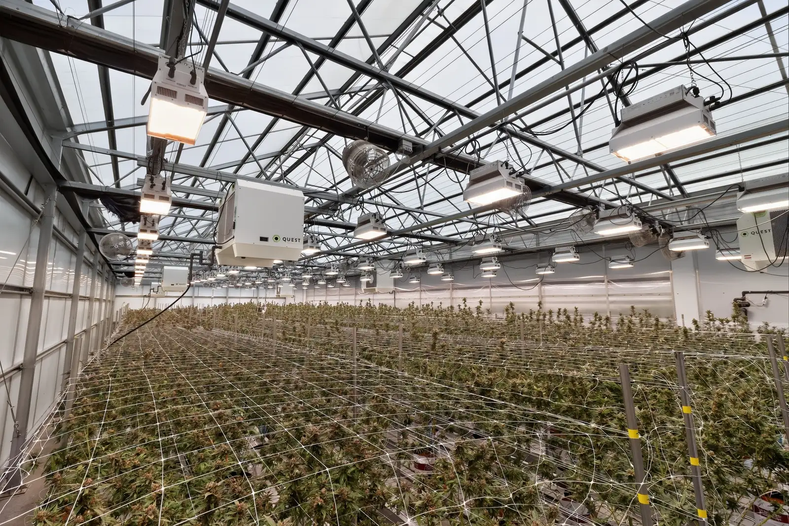 Jackson - Operating Indoor/Greenhouse Cultivation Facility image 21