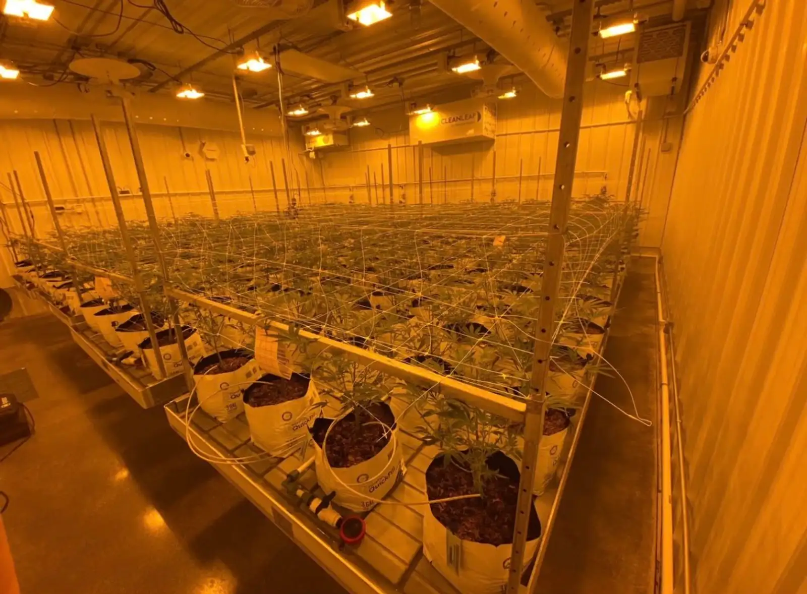 Bay City - Former Operating/Turnkey Cultivation Facility image 9