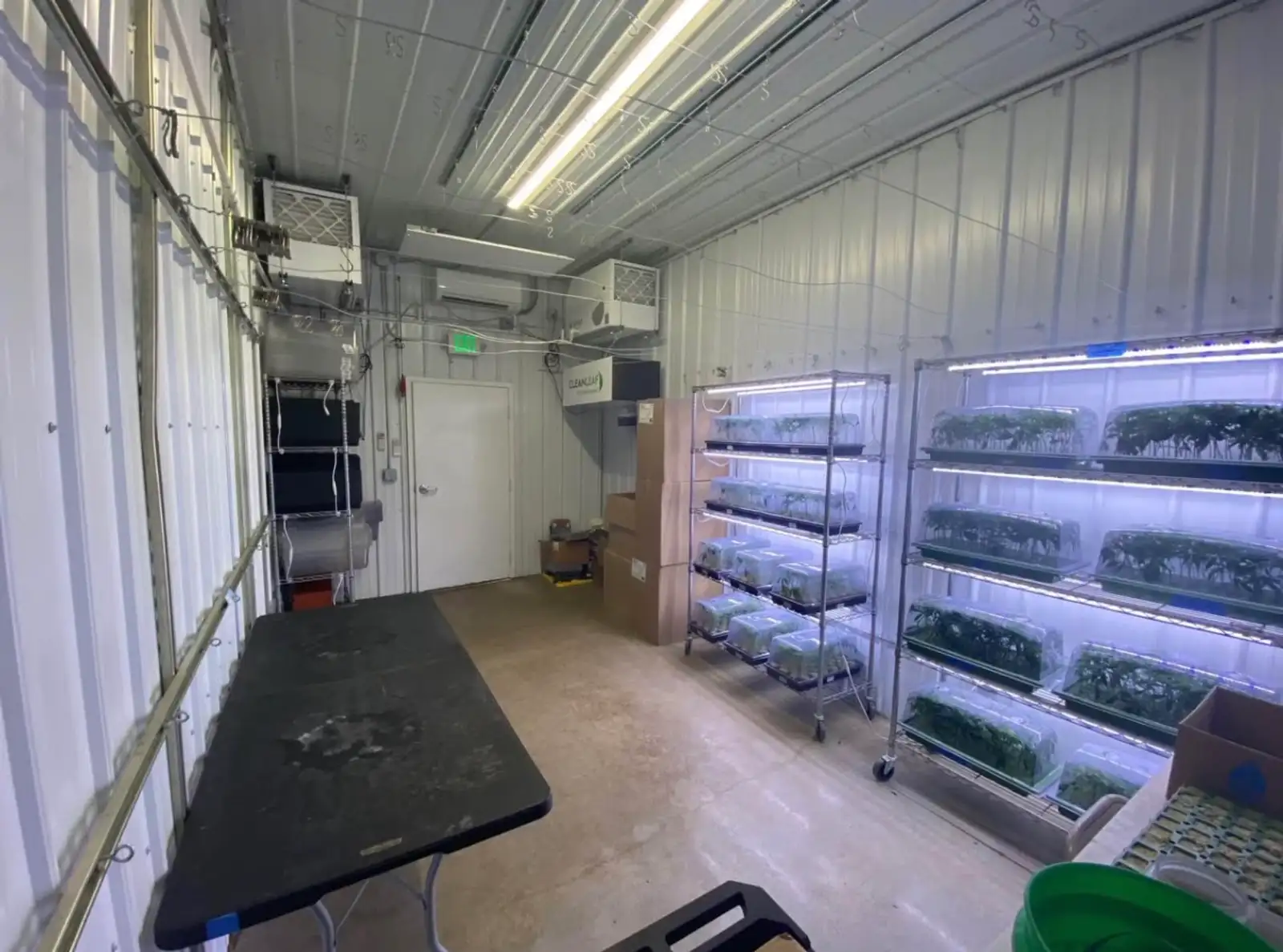 Bay City - Former Operating/Turnkey Cultivation Facility image 7