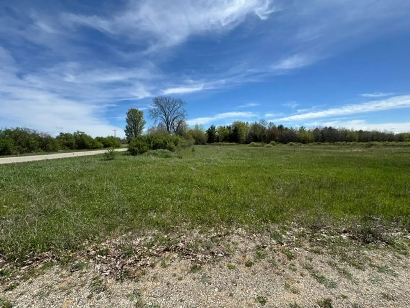 2359 Coolidge Rd image 13