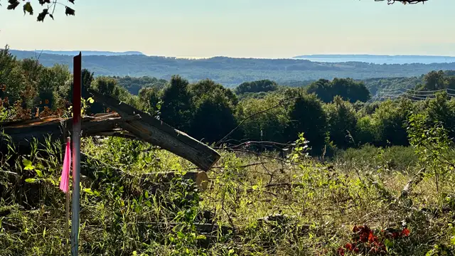 View image 9