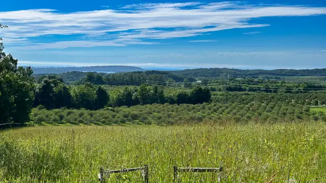 View image 15