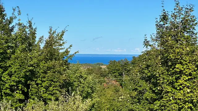 View image 8