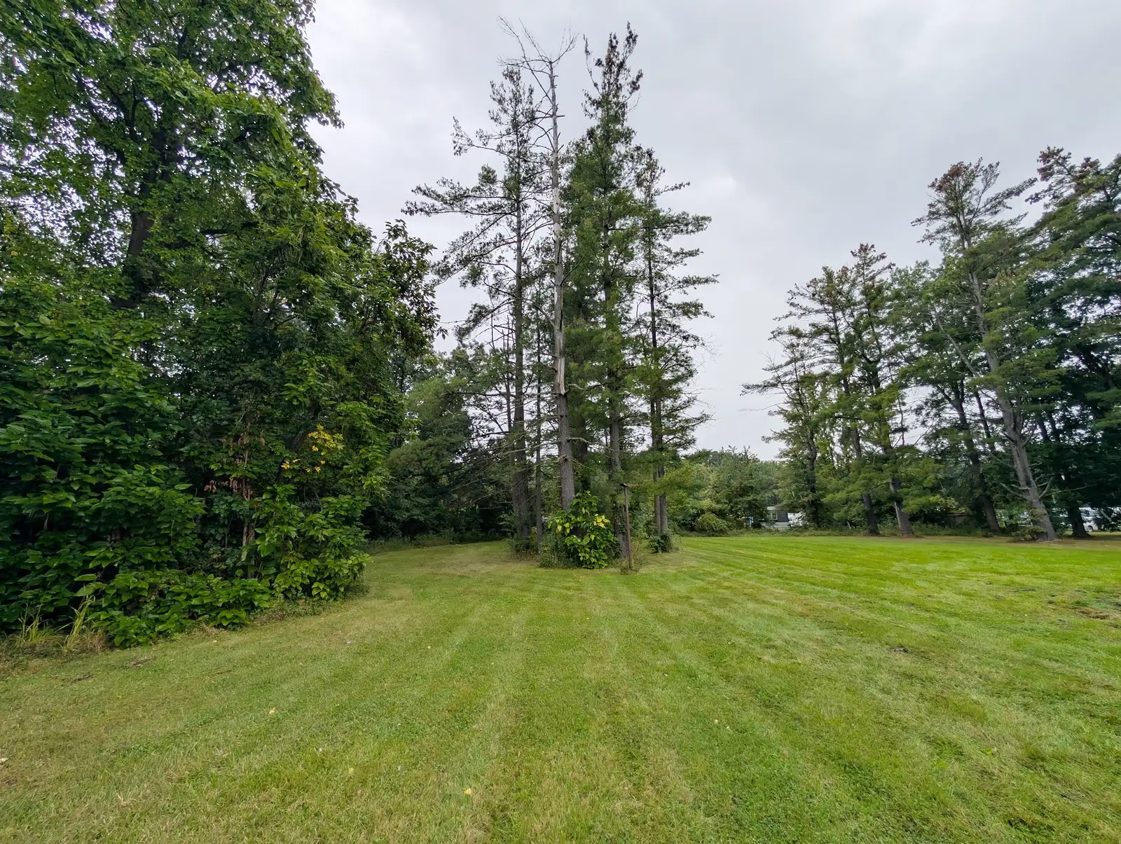 7051 W Vienna Rd image 13