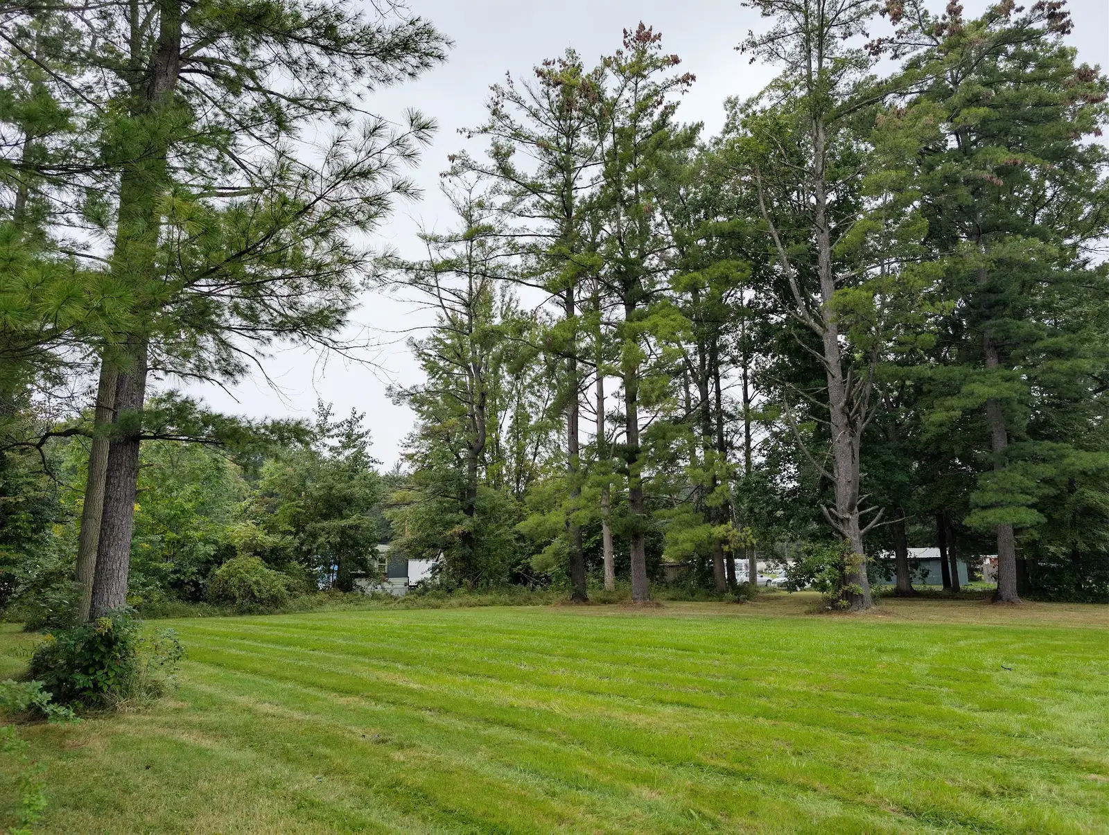 7051 W Vienna Rd image 18