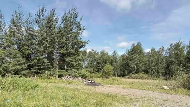 View image 12